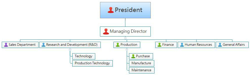 Company Organization
